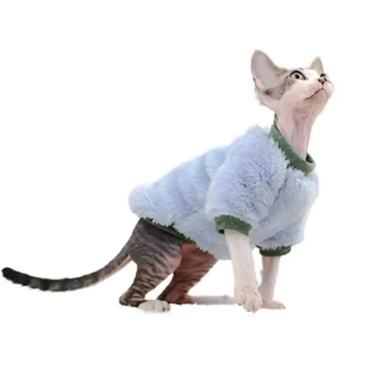 Colorful plush winter kitten clothes